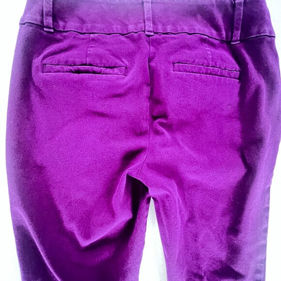 Womens 2P Skinny Ankle Petite Pants Loft Outlet Purple Zip Belt Loops Pockets - Picture 6 of 9